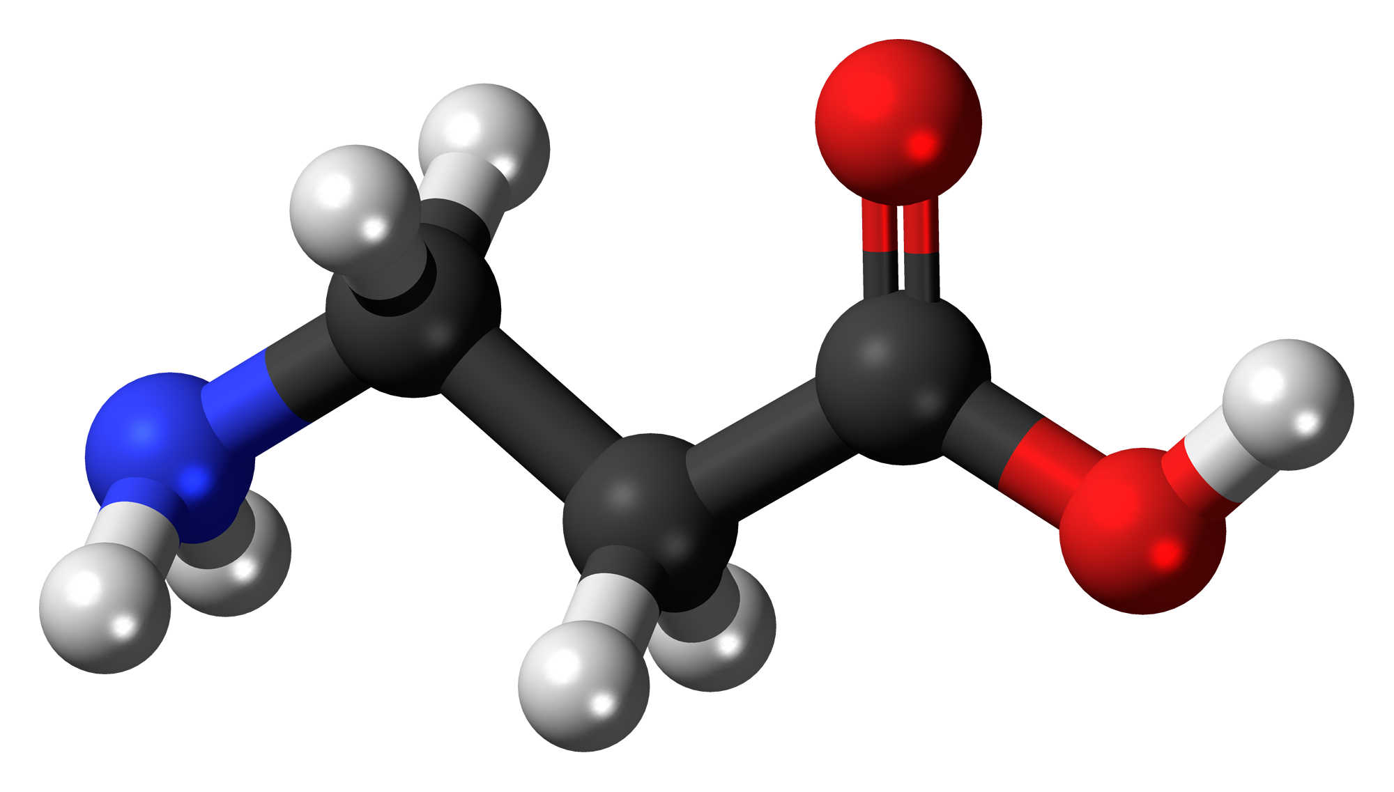 Ball-and-stick molecular model of beta-alanine.