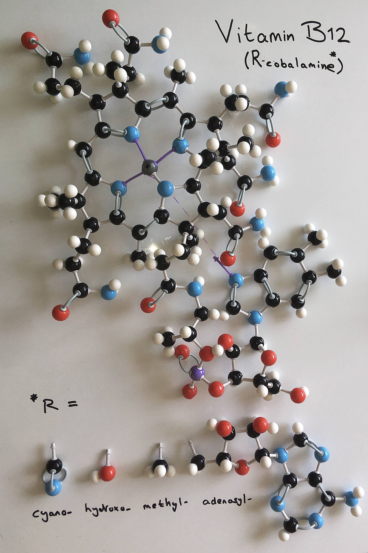 Molecular models representing different forms of vitamin B12.